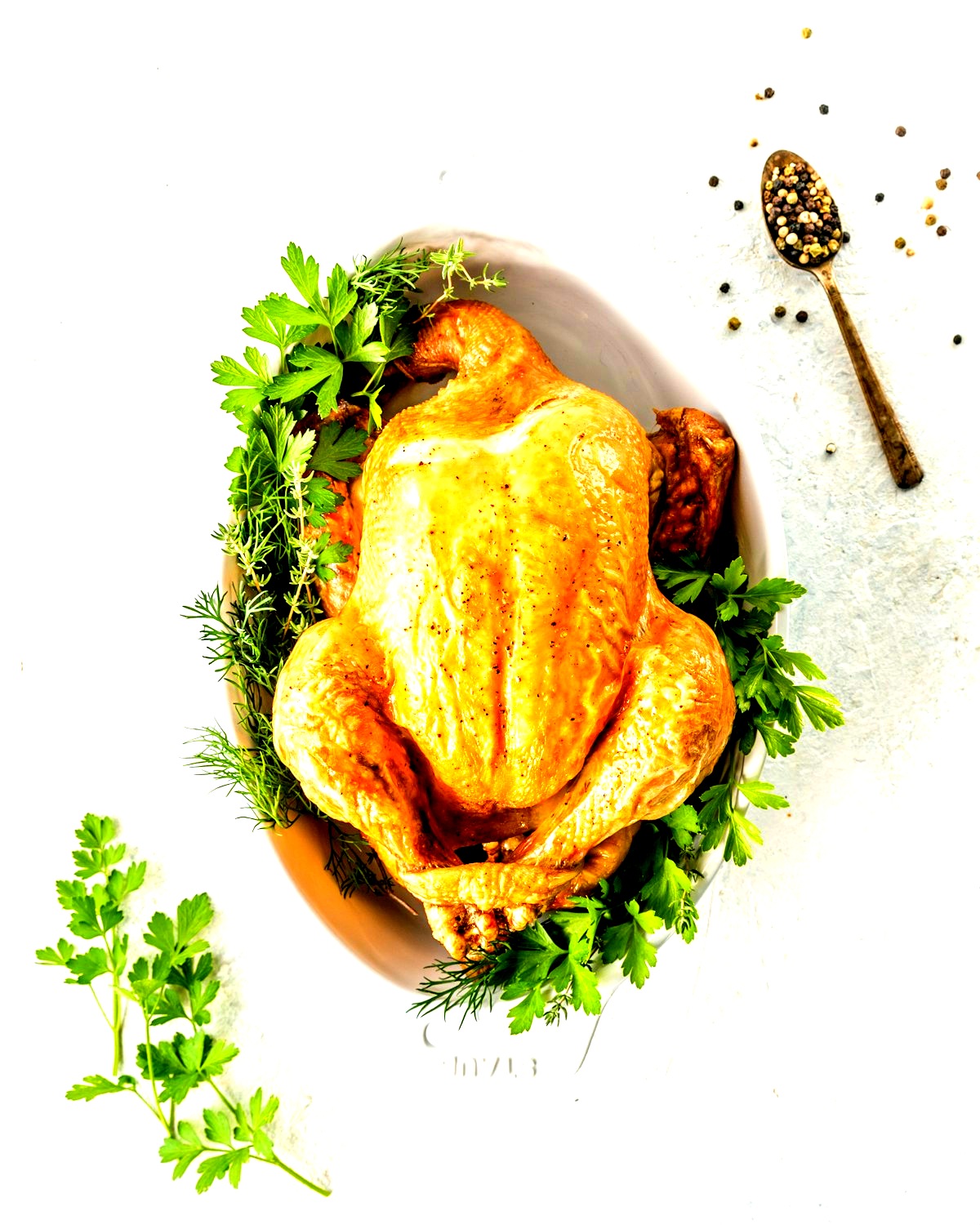 Roast turkey for a holiday feast